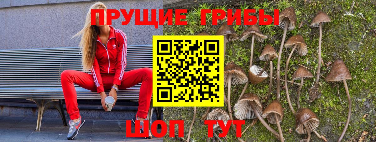 Галлюциногенные грибы мицелий Саранск